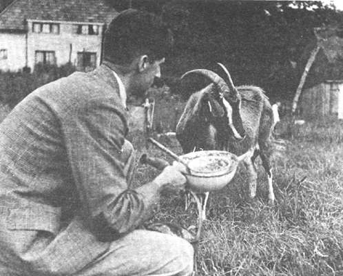 [Feeding Muriel at]